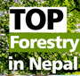 Top Forestry Colleges in Nepal