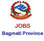 Vacancy notice from Bagmati Province, Government of Nepal