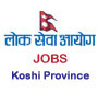 108 Assistant Level vacancies from Province Lok Sewa Aayog, Koshi Province