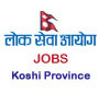 Officer Level vacancies from Province Lok Sewa Aayog, Koshi Province