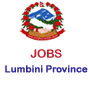 Job notice from Lumbini Province, Government of Nepal