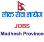 168 vacancies at Province Lok Sewa Aayog, Madhesh Province