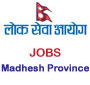 Province Lok Sewa Aayog, Madhesh Province announces vacancy for Officer Level position