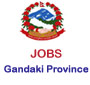 Nepal Government jobs at Gandaki Province