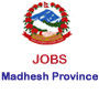 Job notice from Madhesh Province, Government of Nepal