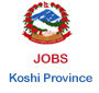  Vacancy at Koshi Province, Government of Nepal 