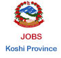  Vacancy at Koshi Province, Government of Nepal