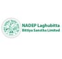 Vacancy notice from NADEP Laghubitta Bittiya Sanstha