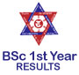 TU publishes BSc first year results 