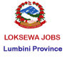 Assistant 4th Level vacancies from Province Lok Sewa Aayog, Lumbini Province