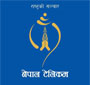 Vacancy Notice: Nepal Telecommunication Company Limited (Nepal Telecom)