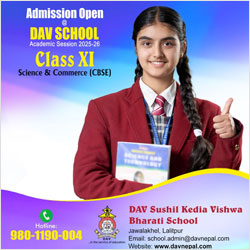 DAV School CBSE Grade XI