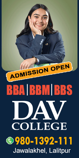 DAV School
