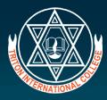 Triton International College
